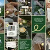 Wellness Creator Instagram Template Bundle | Carousels | Reel Covers | Editable in Canva Main Thumbnail